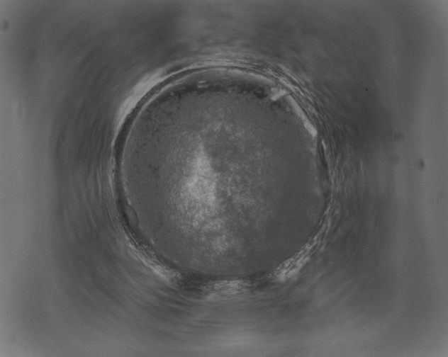 X0000073890152200608180942