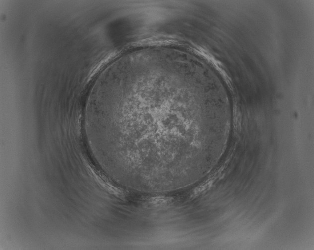 X0000073890153200608180942