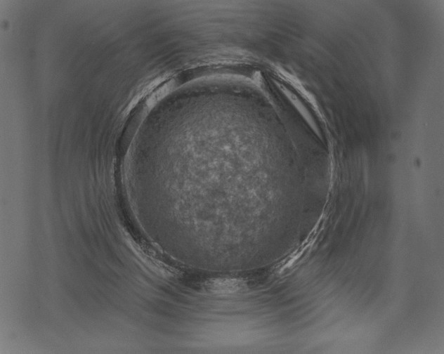 X0000073890154200608180942