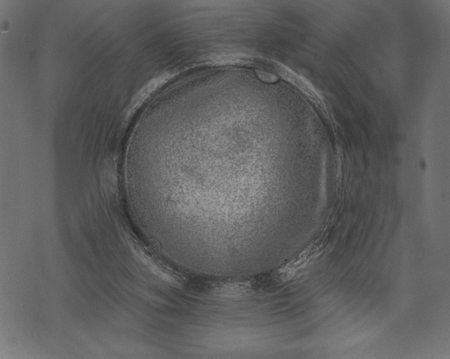 X0000073890155200608180942