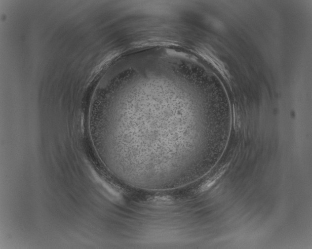 X0000073890157200608180942