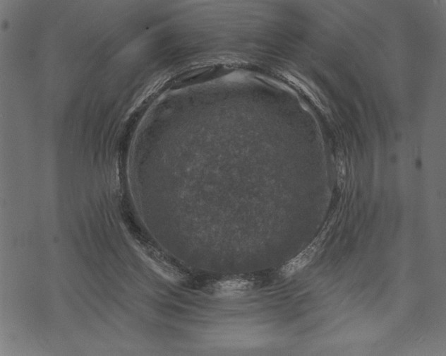 X0000073890158200608180942