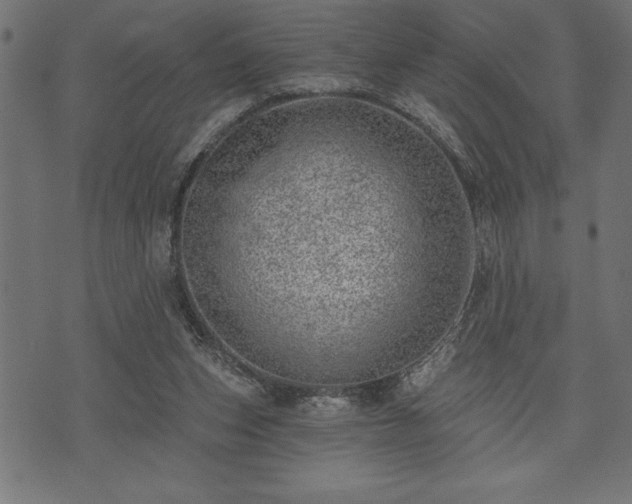 X0000073890159200608180942