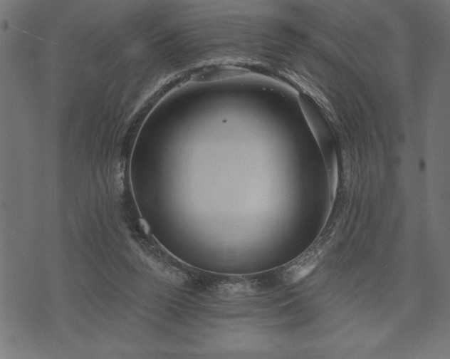 X0000073890160200608180942