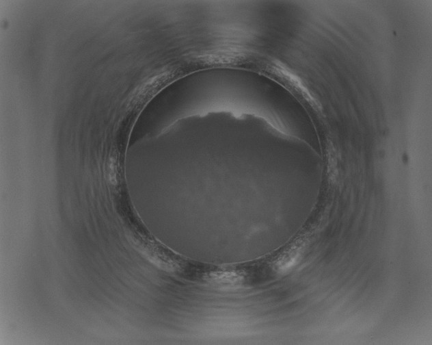 X0000073890161200608180942