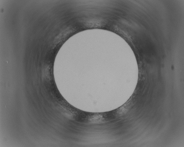 X0000073890162200608180942