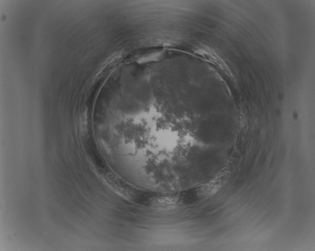 X0000073890163200608180942