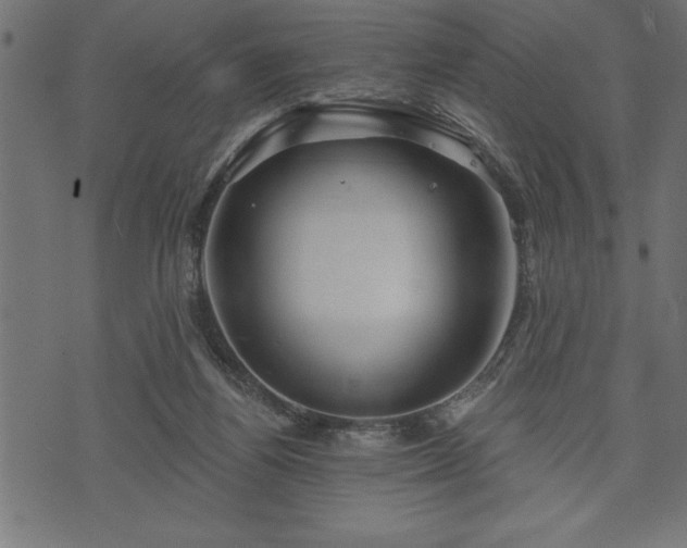 X0000073890164200608180942