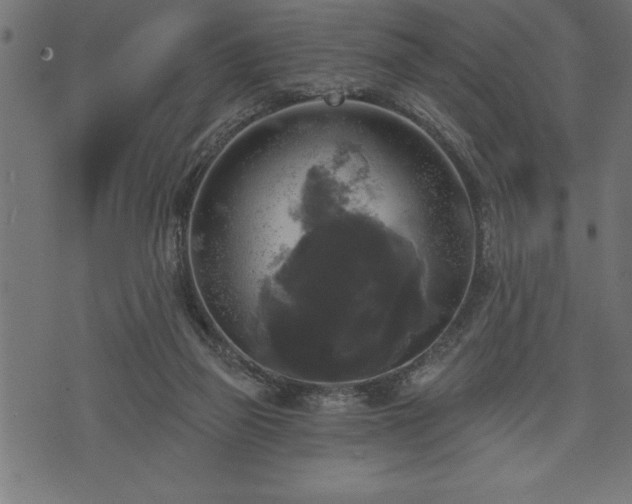 X0000073890165200608180942