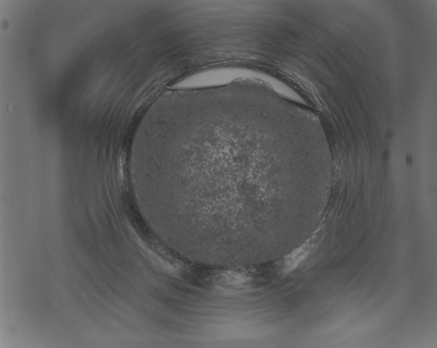 X0000073890166200608180942