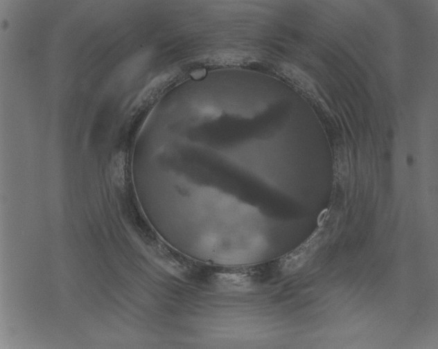 X0000073890167200608180942