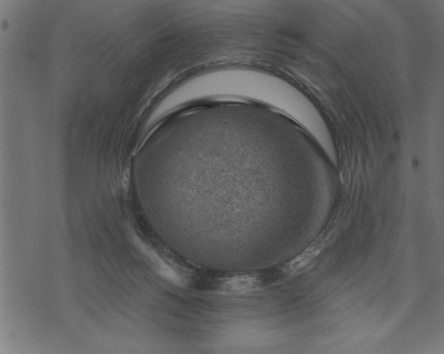 X0000073890168200608180942