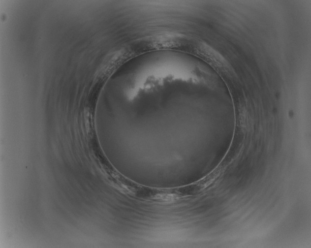 X0000073890169200608180942