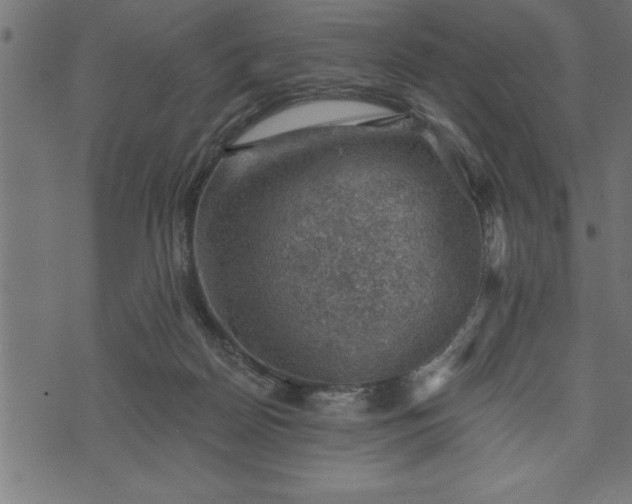 X0000073890170200608180942