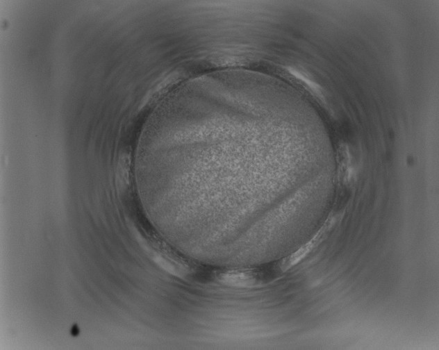 X0000073890171200608180942