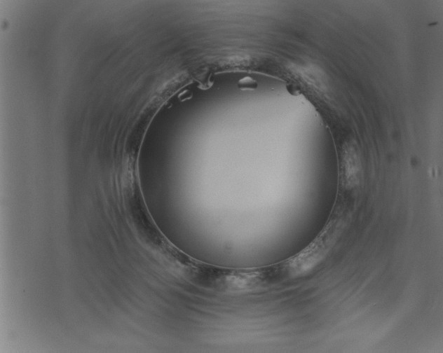 X0000073890172200608180942