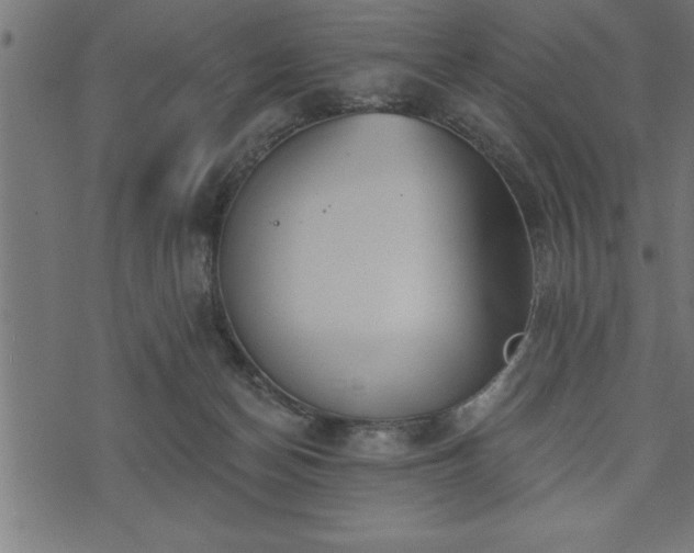 X0000073890174200608180942