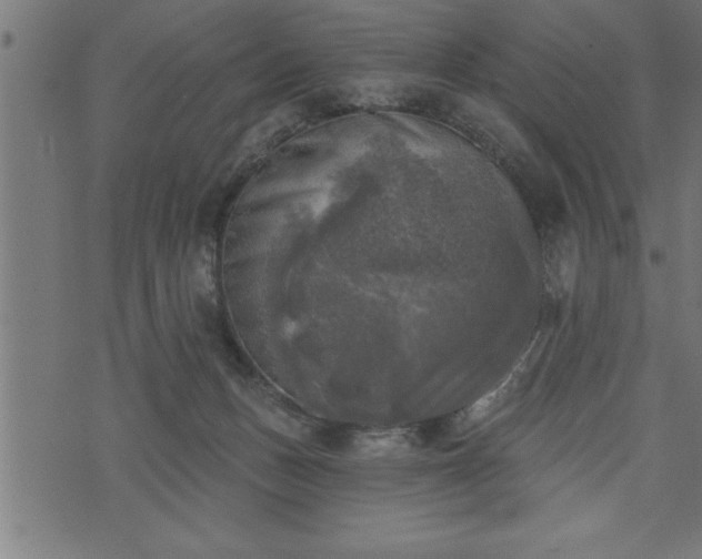 X0000073890175200608180943