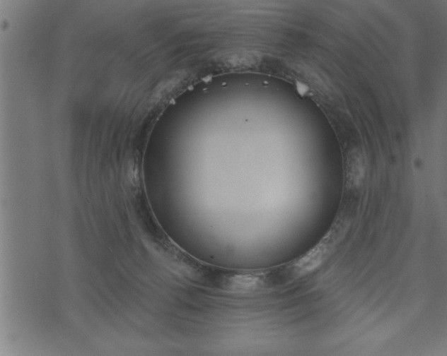 X0000073890176200608180943