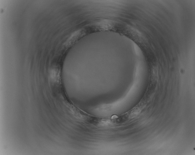 X0000073890177200608180943