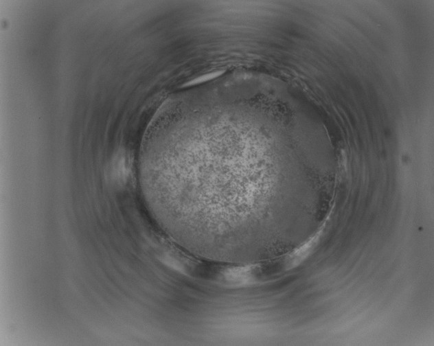 X0000073890178200608180943