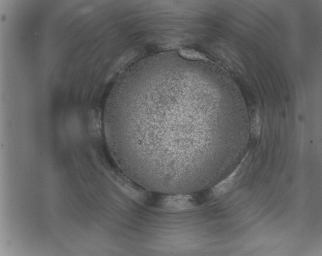 X0000073890179200608180943