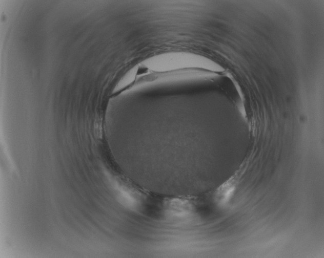 X0000073890180200608180943