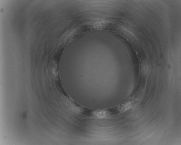 X0000073890181200608180943