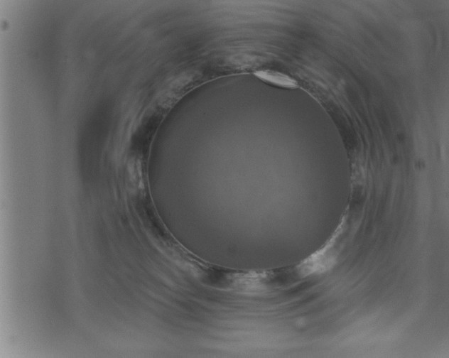 X0000073890182200608180943