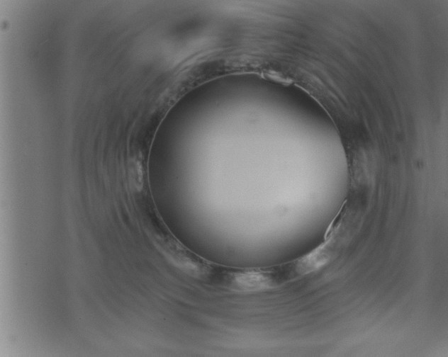 X0000073890183200608180943