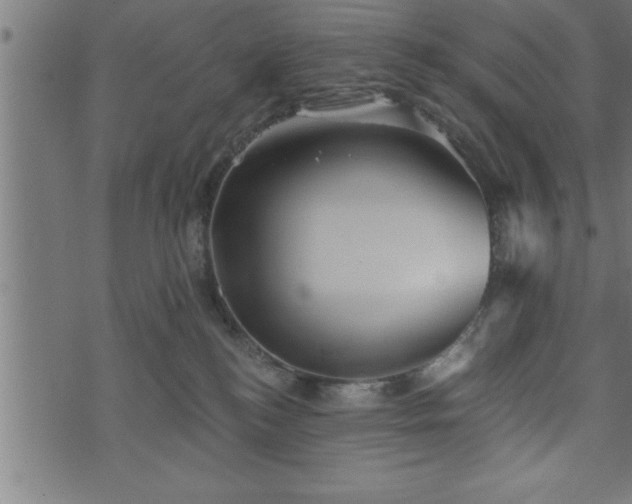 X0000073890184200608180943