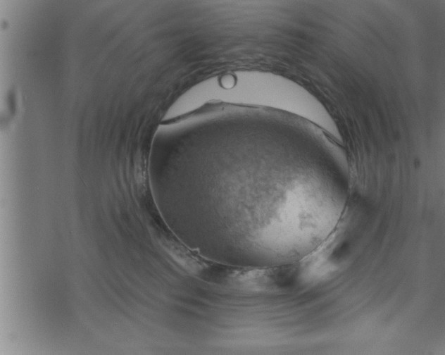 X0000073890186200608180943