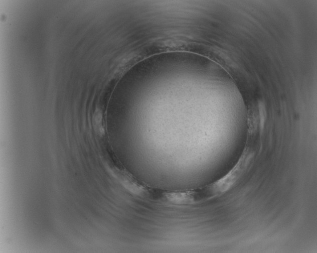 X0000073890187200608180943