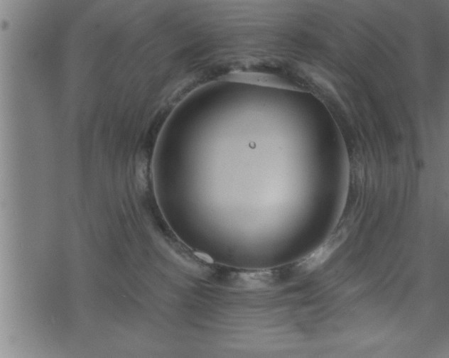 X0000073890188200608180943