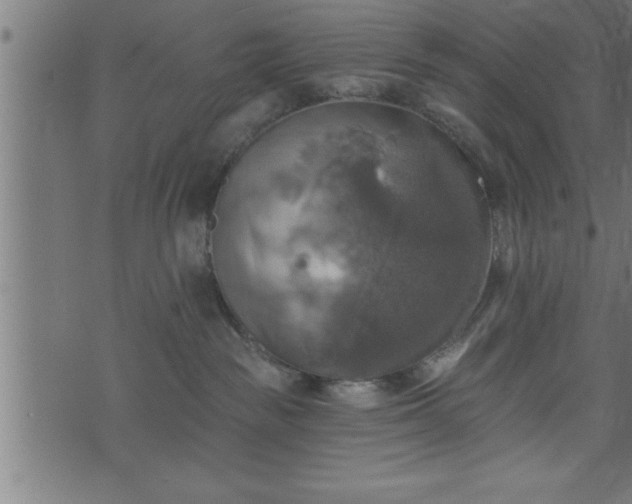 X0000073890189200608180943