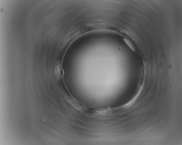 X0000073890190200608180943