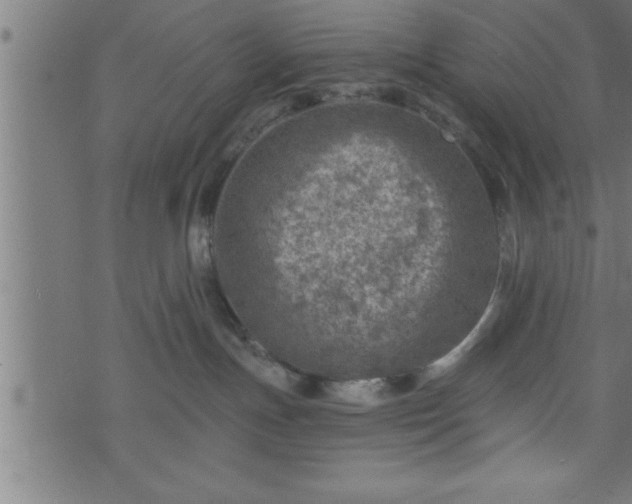 X0000073890191200608180943