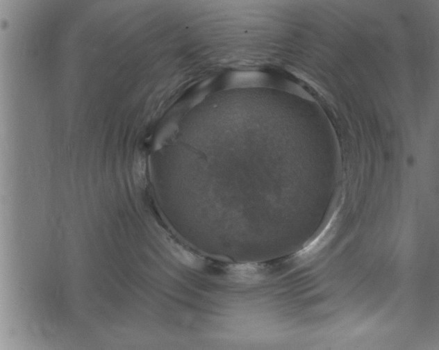 X0000073890192200608180943