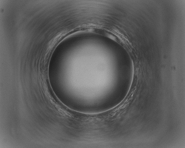 X0000073890193200608180942