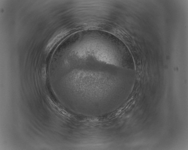 X0000073890194200608180942