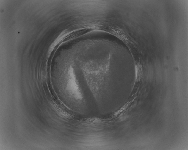 X0000073890195200608180942