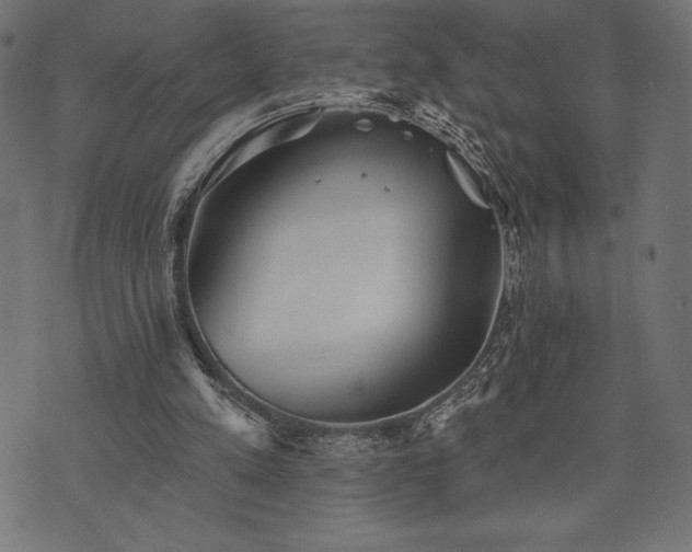 X0000073890197200608180942