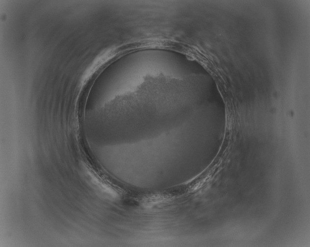 X0000073890198200608180942