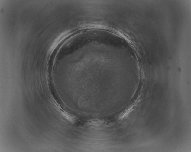 X0000073890199200608180942