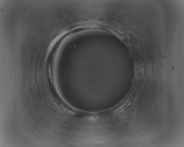 X0000073890200200608180942