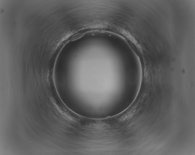 X0000073890201200608180942