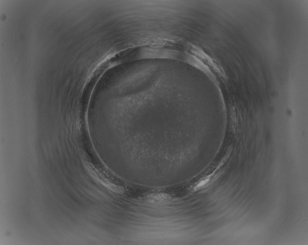 X0000073890203200608180942