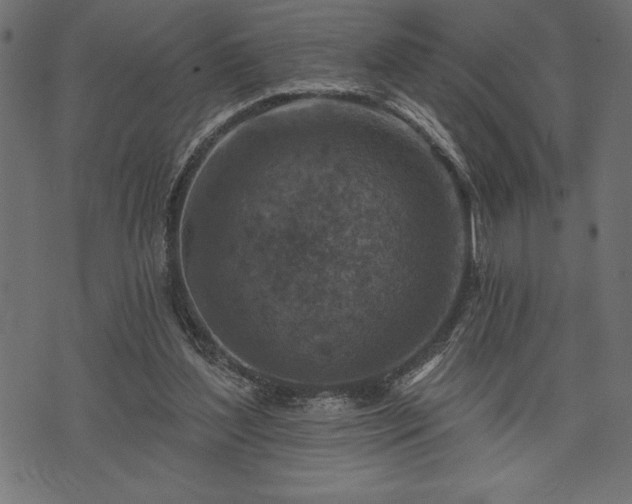 X0000073890204200608180942