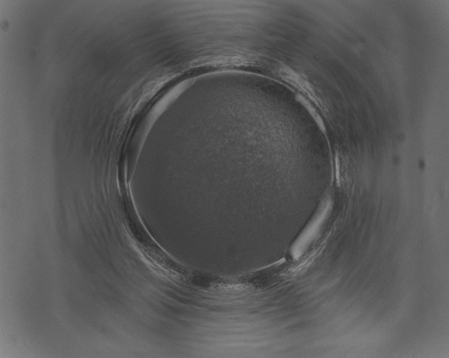 X0000073890205200608180942