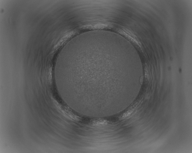 X0000073890206200608180942